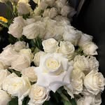 Lynette Cox - @lilyofthevalleyflowers1749 - Instagram