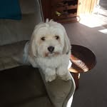 Lynette Adelaide Craig - @lynetteadelaidecraig - Instagram