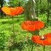 Lynette Cromwell - Facebook