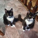 Lynette Crowley - @nettec24 - Instagram