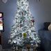 Lynette Plant - Facebook