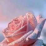 Lynette Daniels - Facebook