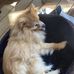 Lynnette Day - Facebook