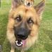 Lynnette Driver - Facebook