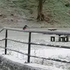 Lynnette Durning - @lynnette.durning - TikTok