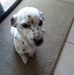 Lynette Ebert - Facebook