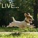 Lynette Elder - Facebook