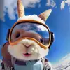 JO - @lynetteferguson68 - TikTok