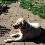 Lynette Ferguson - Facebook