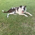 Lynette Fitzpatrick - Facebook