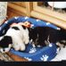 Lynette Fleming - Facebook