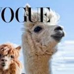 Lynette Garrison - @themagesticllama - Instagram
