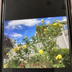 Lyn Gilmore - Facebook