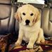 Lynette Godfrey - Facebook
