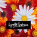 Lynette Graham Artist - Facebook