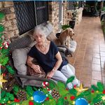 Lynette Harding - @lynettehading - Instagram