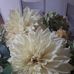 Lynette Hart - Facebook