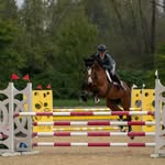 Lynette Hay - @lynettehay_eq - Instagram