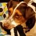 Lynette Herold - Facebook