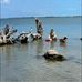 Lynette Herring - Facebook