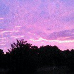 Lynette Hinton - @lrhinton - Instagram