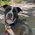 Lynette Wolfram Hoffman - Facebook