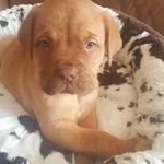 Lynette Holden - @lynetteholden2 - Instagram