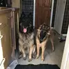 Lyn Hooper - @lyn.hooper - TikTok