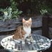 Lynette Horton - Facebook