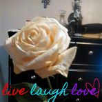Lynette Kindred - Facebook