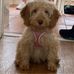 Lynette Lambert - Facebook