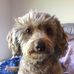 Lynette Larson - Facebook