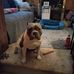 Linette Lott - Facebook