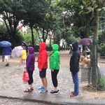 Lynette Lyons - @tigerlions6 - Instagram