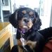 Lynette Manning - Facebook