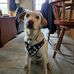 Lynnette Manning - Facebook