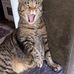 Lynette McBride - Facebook