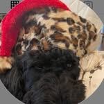 Lynette Sewell McCormick - @__lynette.mccormick__ - Instagram