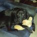 Lynette McGowan - Facebook
