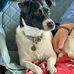Lyn Metcalf - Facebook