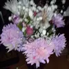 Lynn Metcalf - @lynn.metcalf5 - TikTok