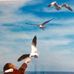 Lynnette Metcalf - Facebook