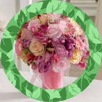Lynette Meyer - Facebook