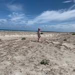 Lynette Meyer - @lynettemeyer16 - Instagram