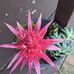 Lyn Mott - Facebook