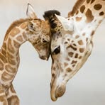 Lynette Murdock - Facebook