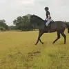 Noeleen Lynette Briedenhann - @noeleen.lynette.b - TikTok