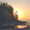 lynetteolson7 - @lynetteolson7 - TikTok