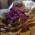 Lynette Paulson - Facebook
