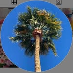 Lynette Pearson - @mivilac986 - Instagram